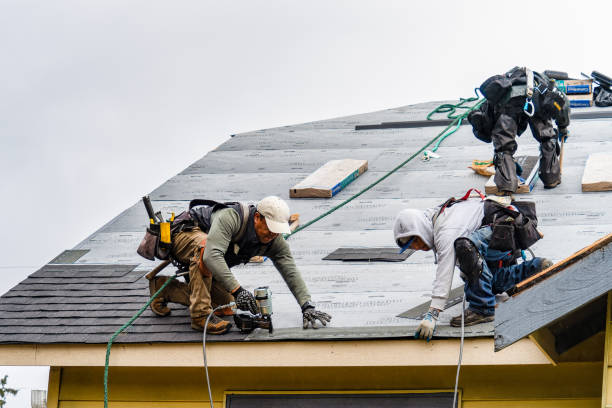 Professional Storm Damage Roof Repair technician working in Oakland, IA